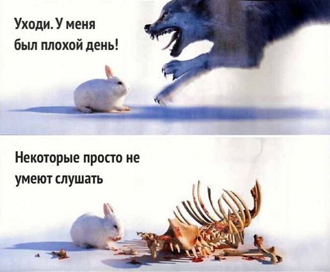 Смешные и познавательные картинки