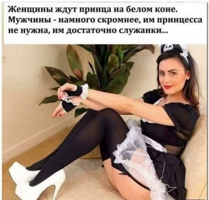 Смешные и познавательные картинки