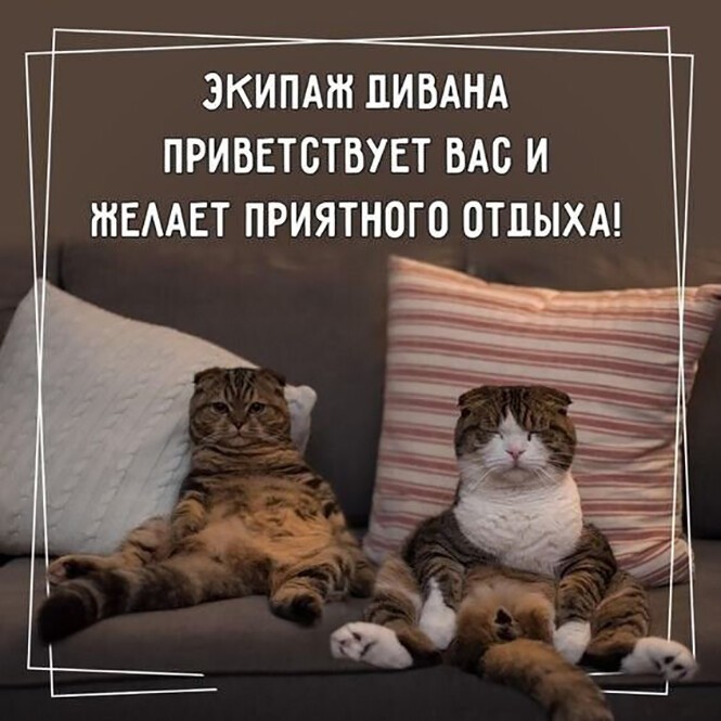 Смешные и познавательные картинки