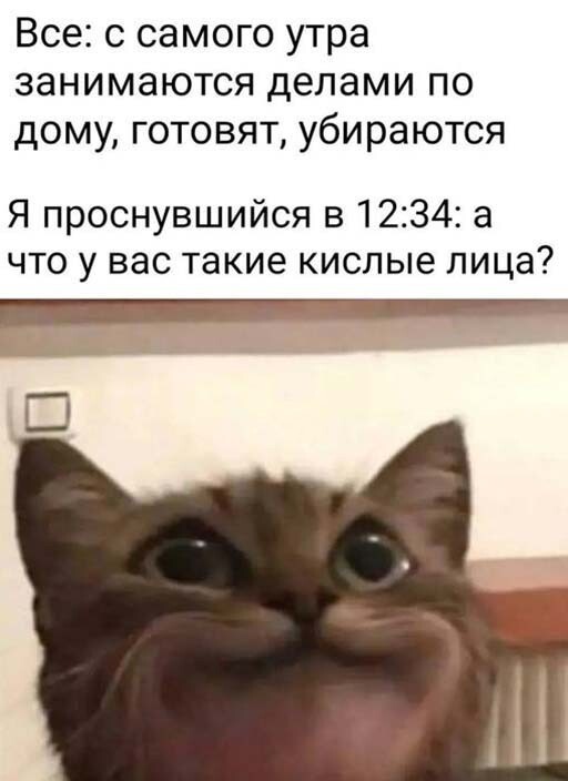 Смешные и познавательные картинки