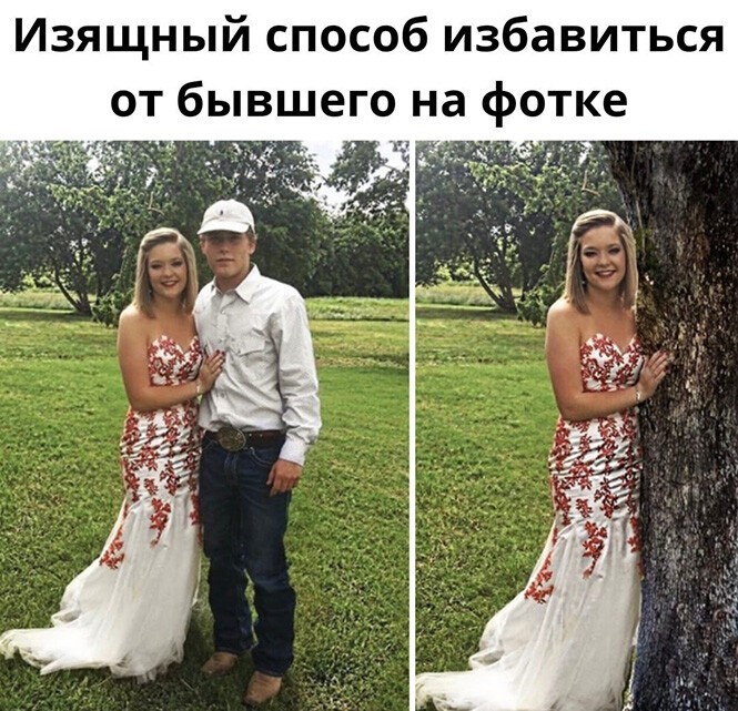 Смешные и познавательные картинки