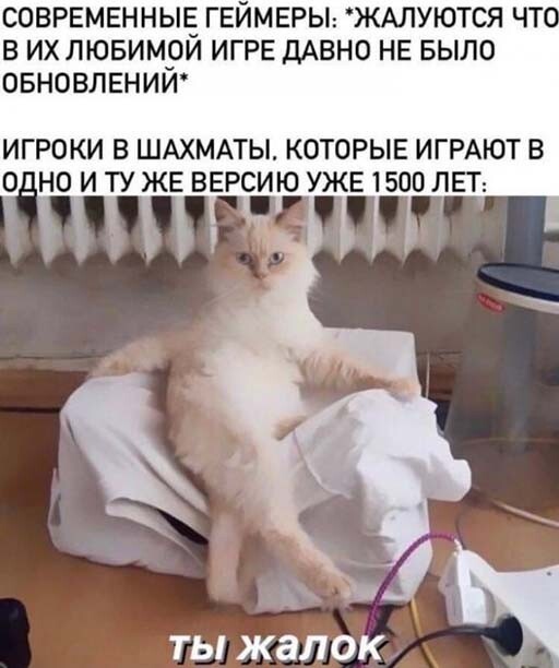 Смешные и познавательные картинки