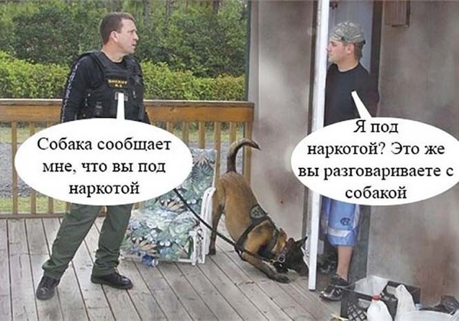 Смешные и познавательные картинки