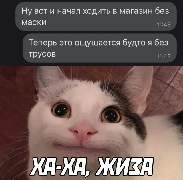 Смешные картинки 22 марта 2022 года