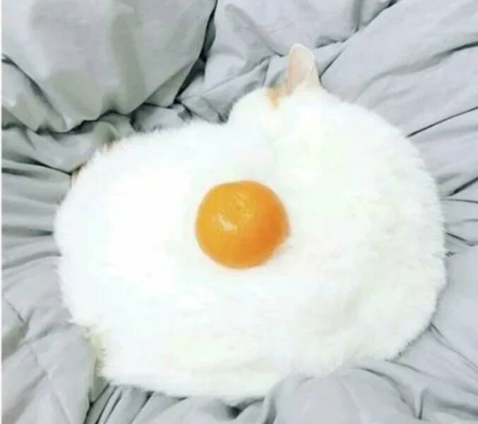 Смешные картинки 22 марта 2022 года