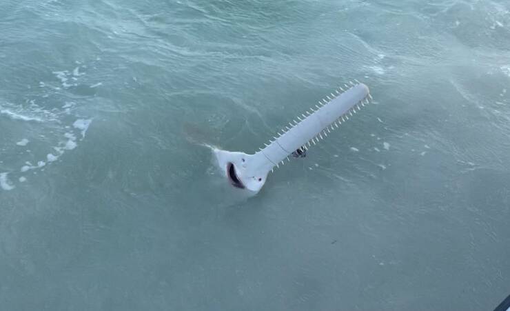 Смешные картинки 22 марта 2022 года