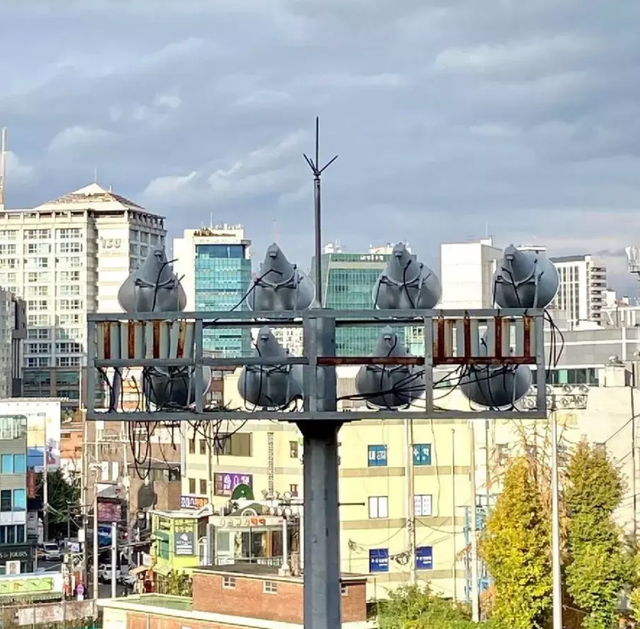 Фотографии, к которым придется приглядеться