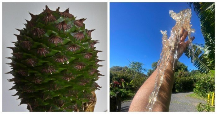 30 любопытных находок, сделанных обычными людьми 30 любопытных находок, сделанных обычными людьми