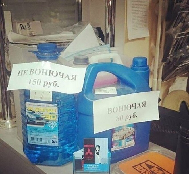 Смешные и познавательные картинки