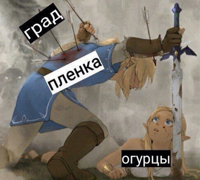 Смешные и познавательные картинки