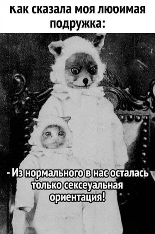 Смешные и познавательные картинки