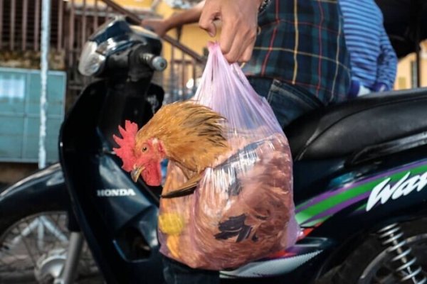 20+ необычных уличных кадров от бельгийского фотографа