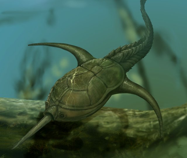 Дорьяспис: 2 слоя брони и пила на носу. Рыба, которая больше походит на боевого дрона, чем на животное Дорьяспис: 2 слоя брони и пила на носу. Рыба, которая больше походит на боевого дрона, чем на животное