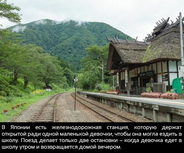 Краткие факты и интересные фотографии