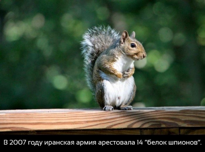 Краткие факты и интересные фотографии