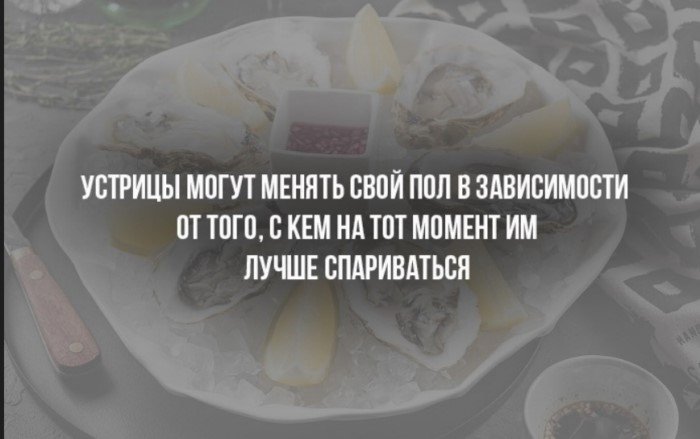 Краткие факты и интересные фотографии