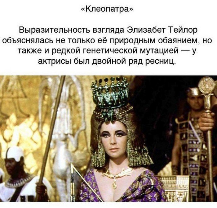 Краткие факты и интересные фотографии