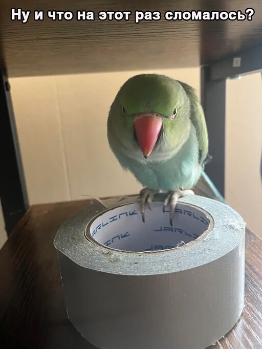 Смешные и познавательные картинки