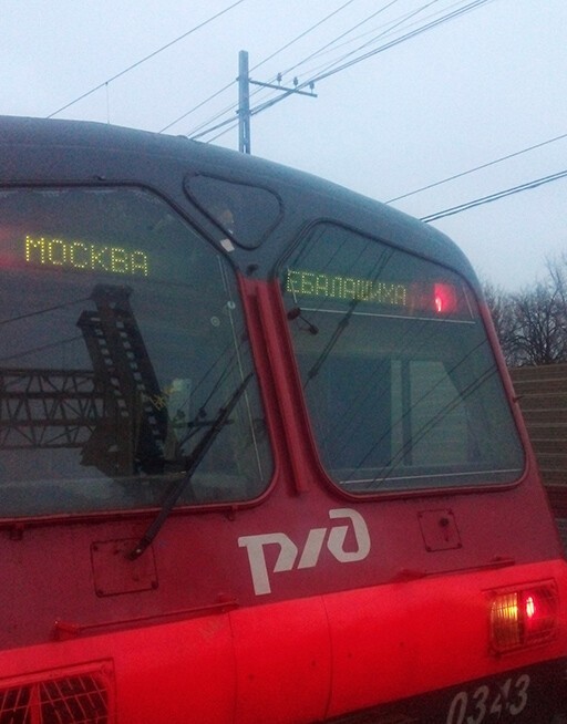 Смешные и познавательные картинки