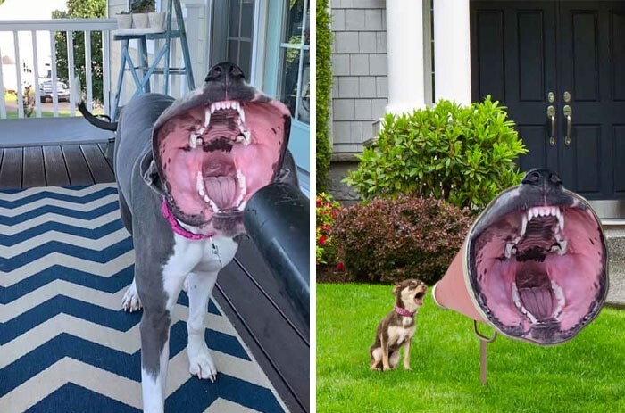 Пёс, играющий с воздуходувкой Пёс, играющий с воздуходувкой