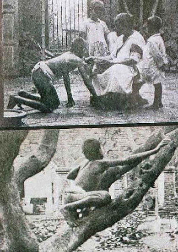 Фотография: Самые известные дети-маугли: Как сложились судьбы малышей, которые выросли среди животных №11 - BigPicture.ru