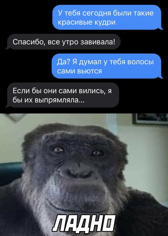 Смешные картинки 14 апреля 2022 года