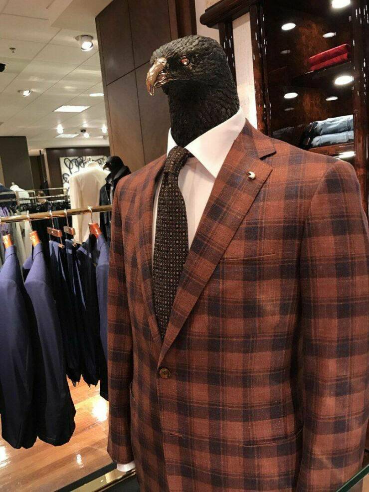 Смешные картинки 14 апреля 2022 года