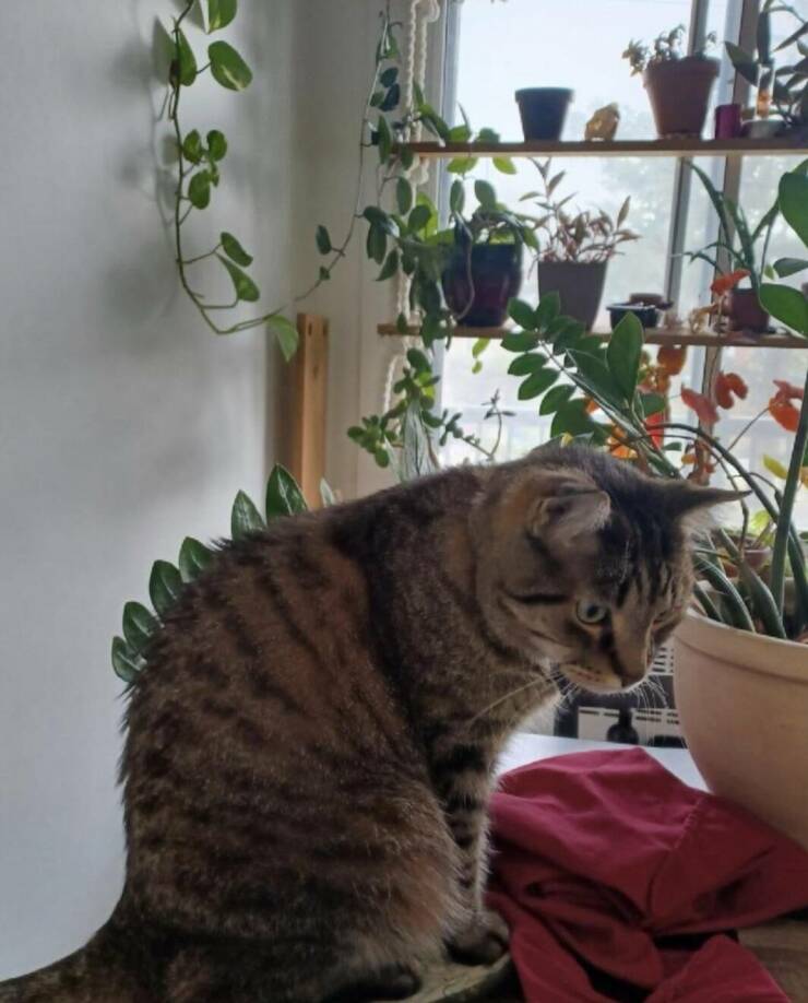 Смешные картинки 14 апреля 2022 года