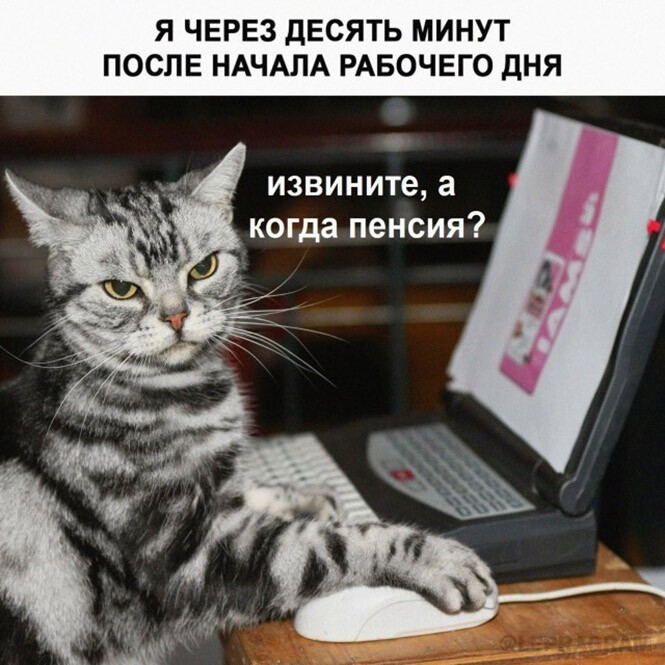 Смешные и познавательные картинки