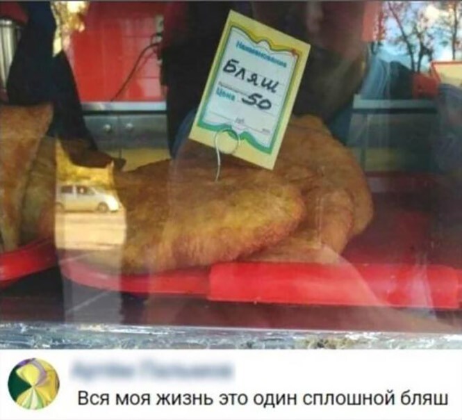 Смешные и познавательные картинки