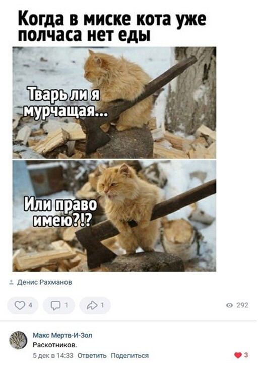 Смешные и познавательные картинки