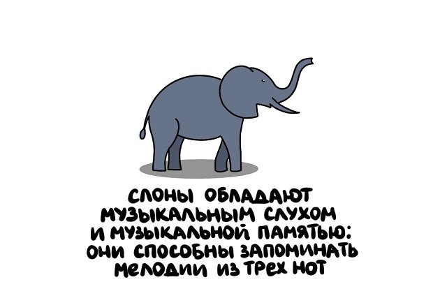 Интересные факты на все случаи жизни
