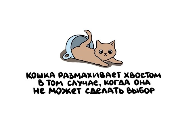 Интересные факты на все случаи жизни