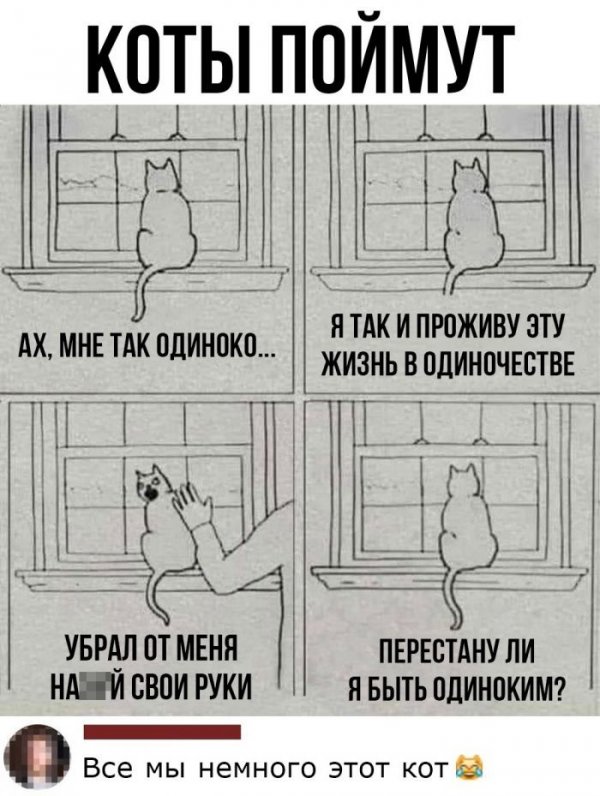 Смешные комментарии из социальных сетей