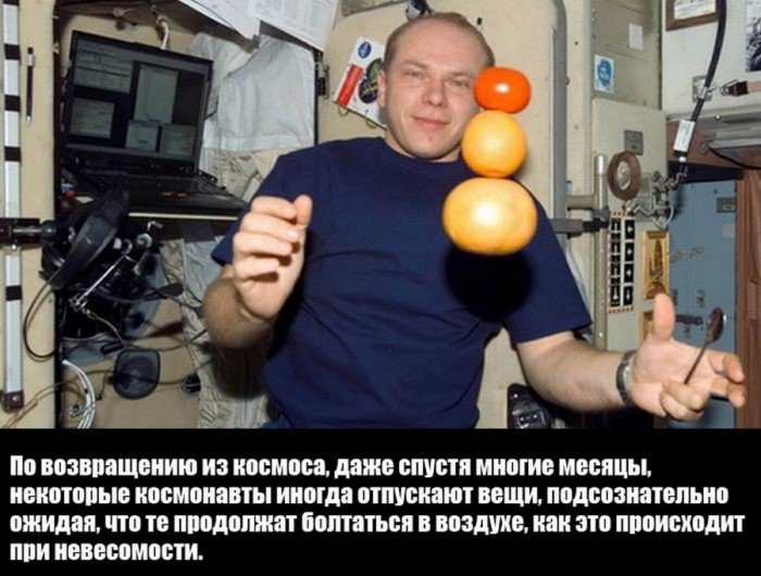 Краткие факты и интересные фотографии