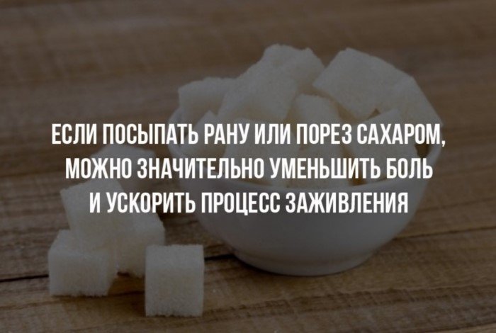 Краткие факты и интересные фотографии