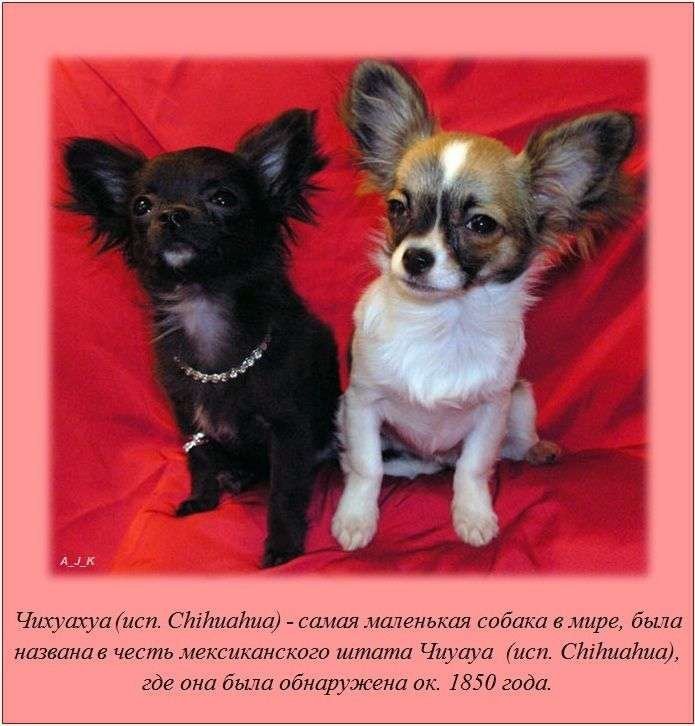 Краткие факты и интересные фотографии