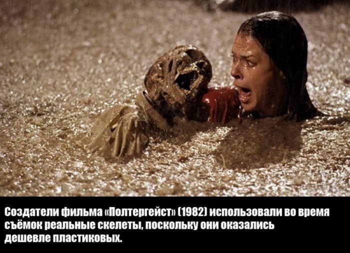 Краткие факты и интересные фотографии