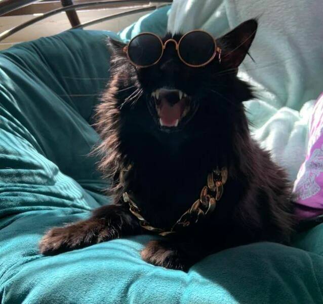 Смешные картинки 18 апреля 2022 года