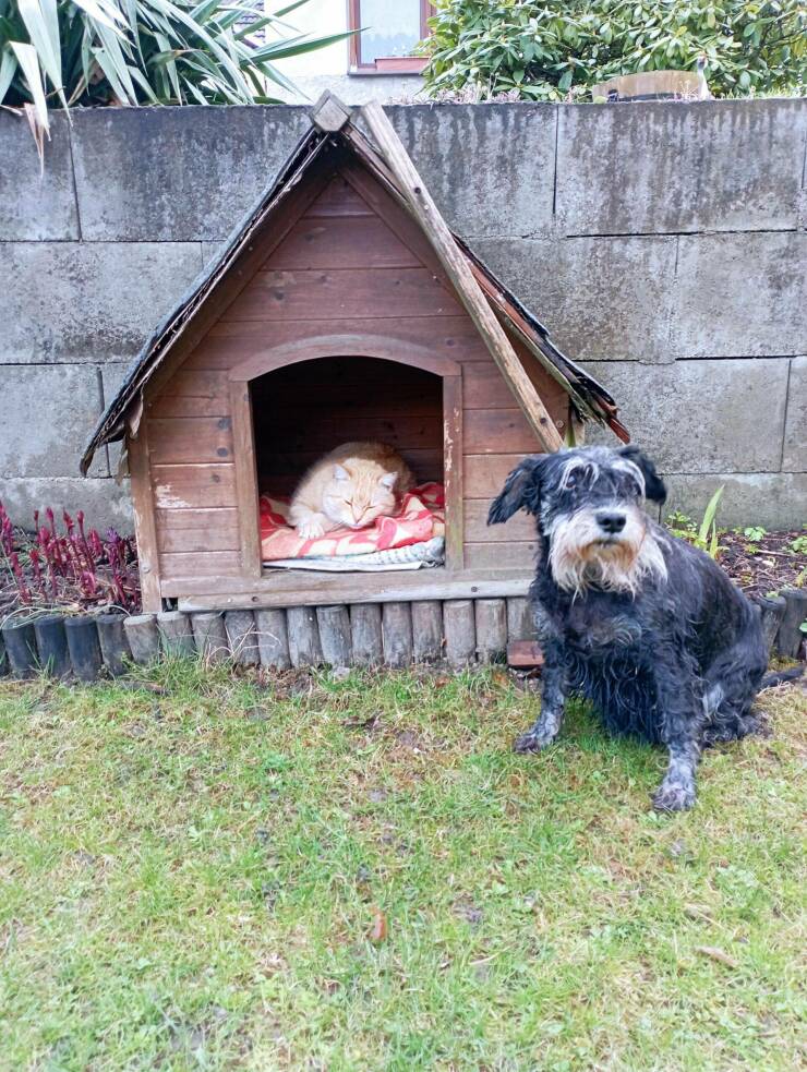 Смешные картинки 18 апреля 2022 года