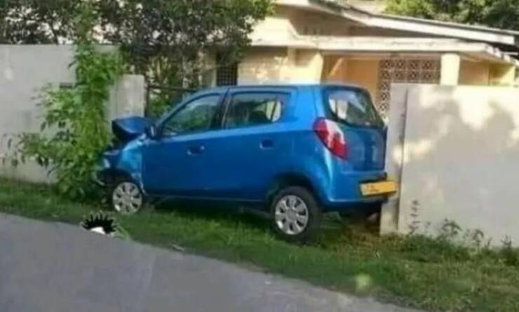 Смешные картинки 19 апреля 2022 года