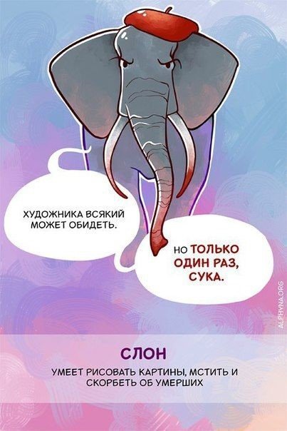 Краткие факты и интересные фотографии