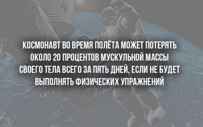 Краткие факты и интересные фотографии