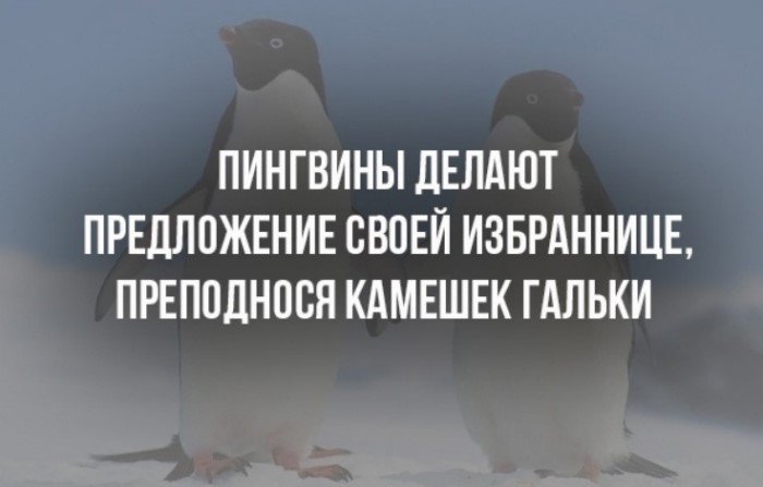 Краткие факты и интересные фотографии