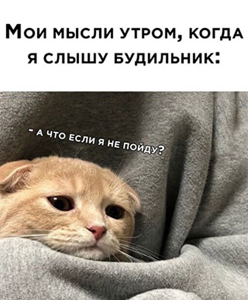 Смешные и познавательные картинки