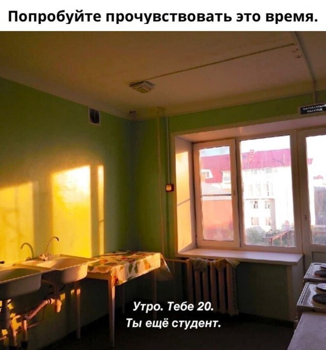 Смешные и познавательные картинки