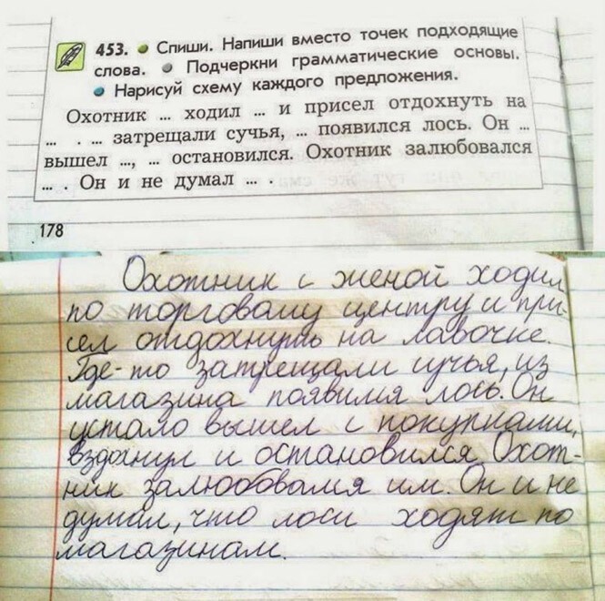 Смешные и познавательные картинки