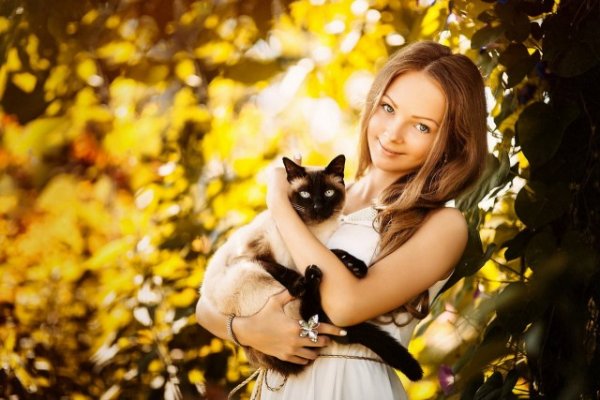 Кошечки и Киски