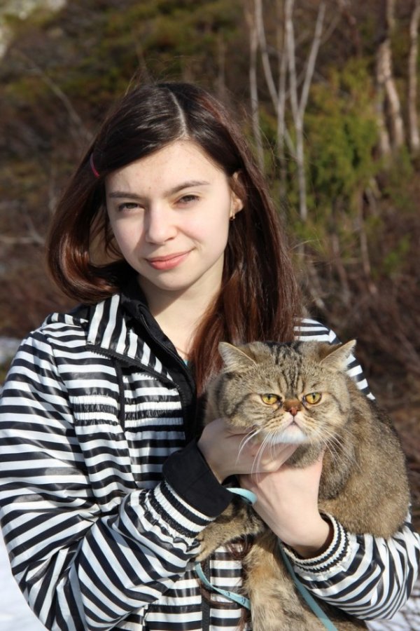 Кошечки и Киски