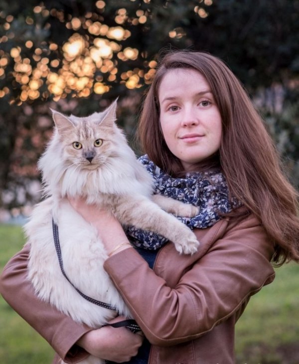 Кошечки и Киски